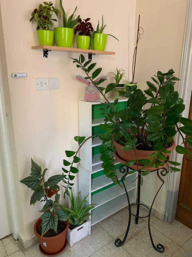 Mini Penthouse Larnaca Esterno foto